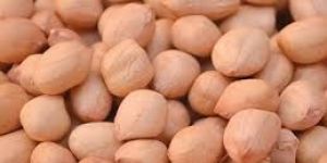 Java Peanuts