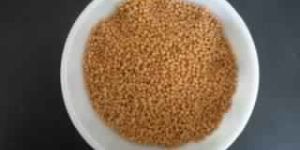 Mustard Seeds