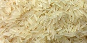 Sharbati Golden Basmati Rice