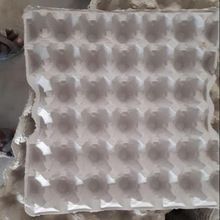 Paper Pulp Egg Tray