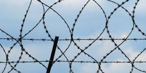 Barbed Wire