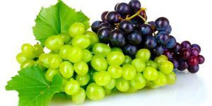 Fresh Grapes
