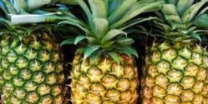 Fresh Pineapple