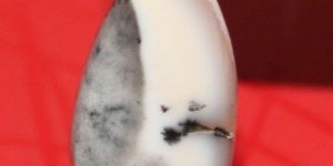 Dendrite Agate Stone