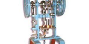 10 Die Camphor Tablet Making Machine