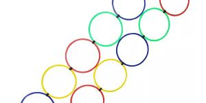 Double Hoops Agility Ladder- Pro