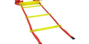Professional Agility Ladder