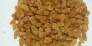 Golden Yellow Raisins