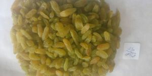 Greenish Sonaka Raisins