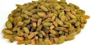 Natural Green Raisin
