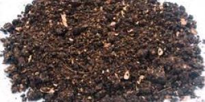 Organic Neem Manure