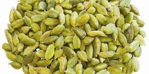Cardamom