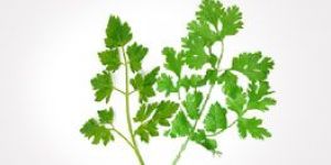 Parsley
