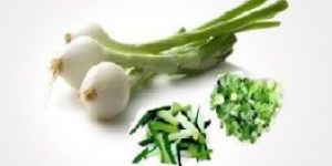 Spring Onion