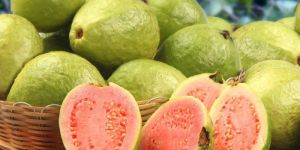 Fresh Guava
