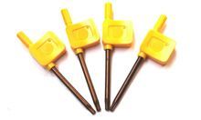Torx Key