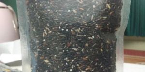 Black Rice