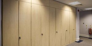 Office Storage Almirah