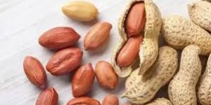 Groundnuts
