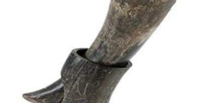 Buffalo Drinking Horn