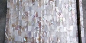 Mother of Pearl Shell Tray