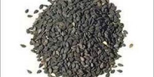 Sesame Seeds