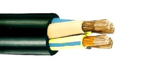 Elastomeric Cable