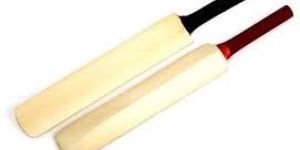 Wooden Cricket Bat
