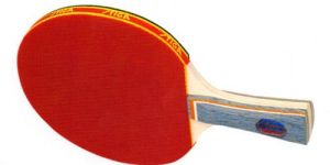 Elite Table Tennis Racket