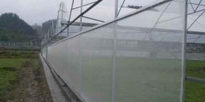 Greenhouse Insect Net