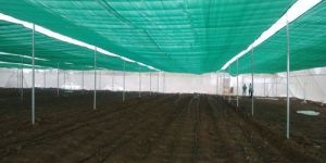 Net House with Cable Purlin Construction Service