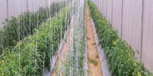 Walk in Tunnel Construction Services