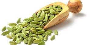 Cardamoms
