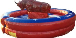 Mechanical Bull Ride