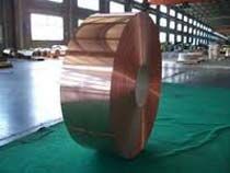 Beryllium Copper Strips