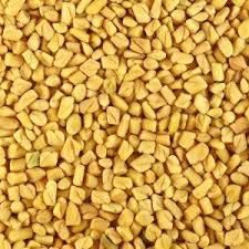Fenugreek Seed