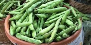 Fresh Broad Beans