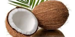 Fresh Coconut