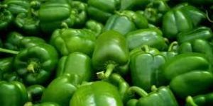 Fresh Green Capsicum