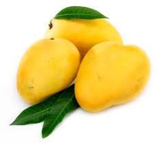 Fresh Alphonsa Mango