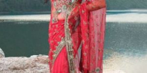 Net Handwork Saree