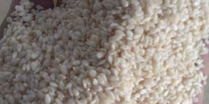Sesame Seeds