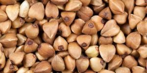 Buckwheat Seeds