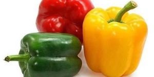 Fresh Capsicum