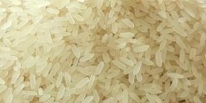 IR36 Parboiled Rice