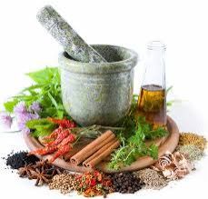 Herbal and Medicinal Plants