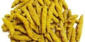 Organic Turmeric Finger