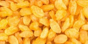 Golden Raisins