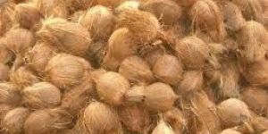 Semi Husked Coconut
