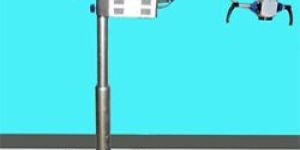 Dissecting Microscope